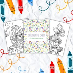 Springtime Calm-Coloring for Relaxation. A coloring book for springtime fun by A Para Pro Shop